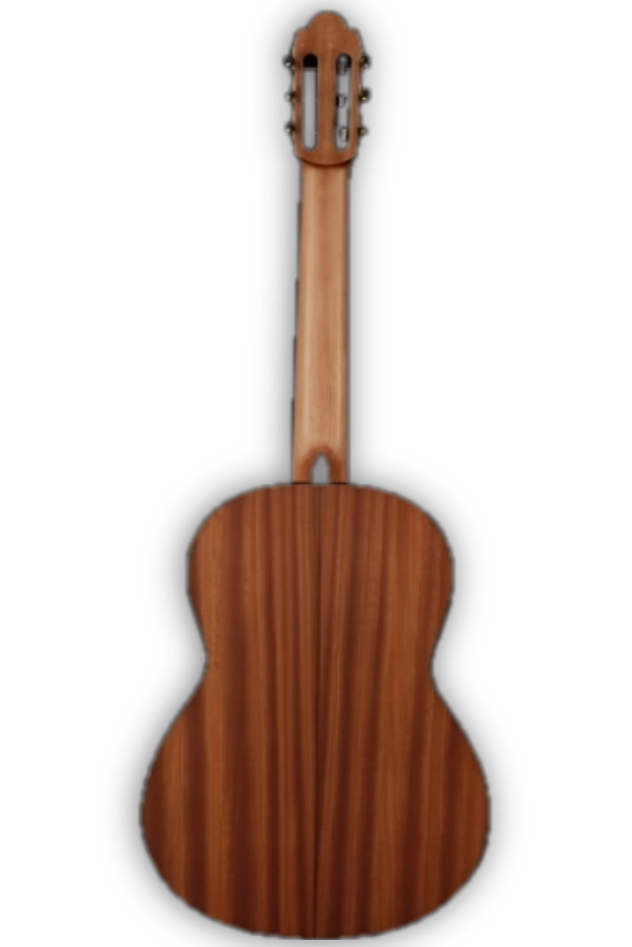Student Series Torres Mahogany