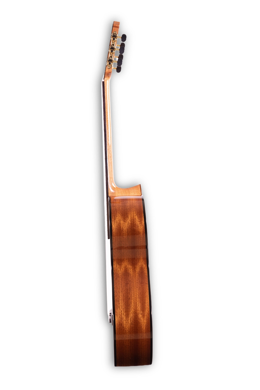 Elementary Series MC-20S/MC-20S  CE