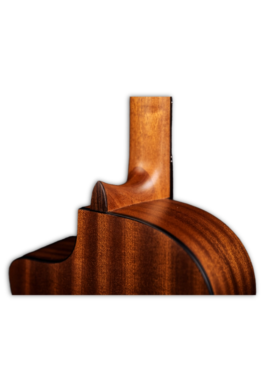 Elementary Series MP 5