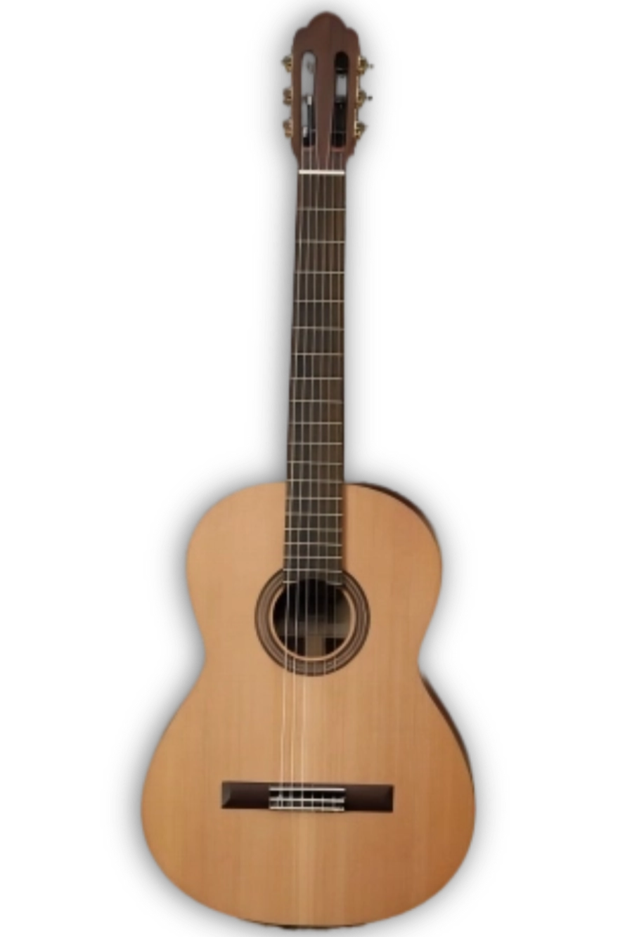 Student Series Torres Mahogany